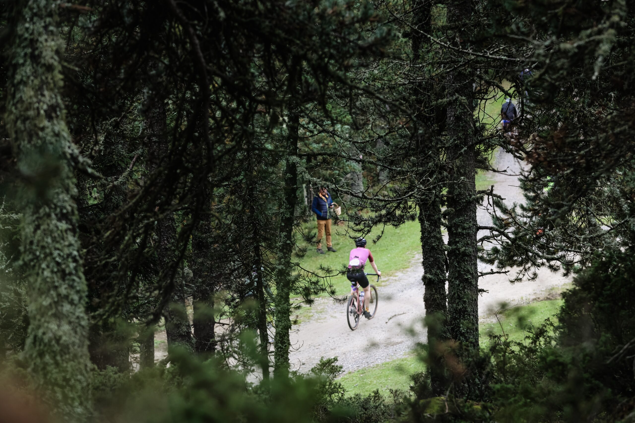 ©cyrille quintard-gravel66-2025-153A0942