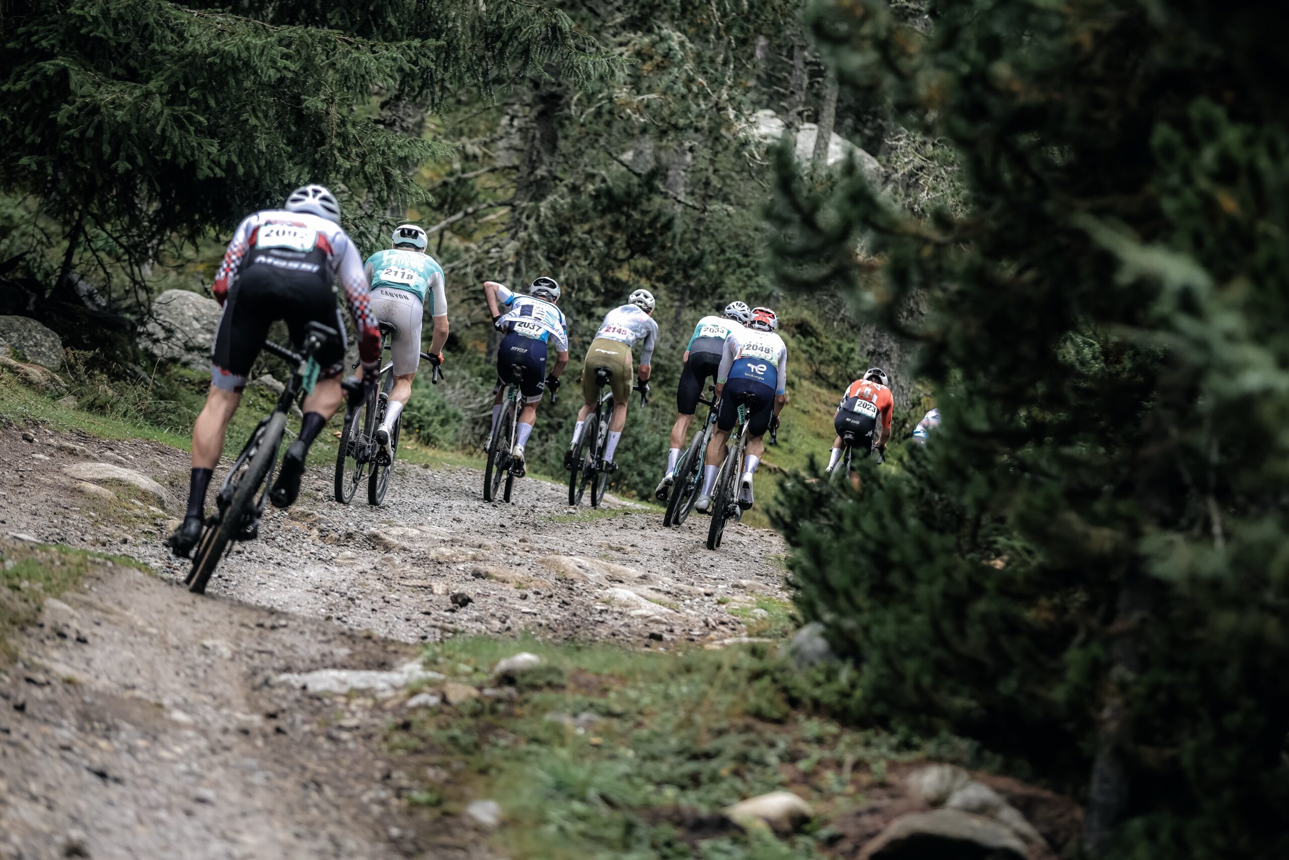 ©cyrille quintard-gravel66-2025-153A1039