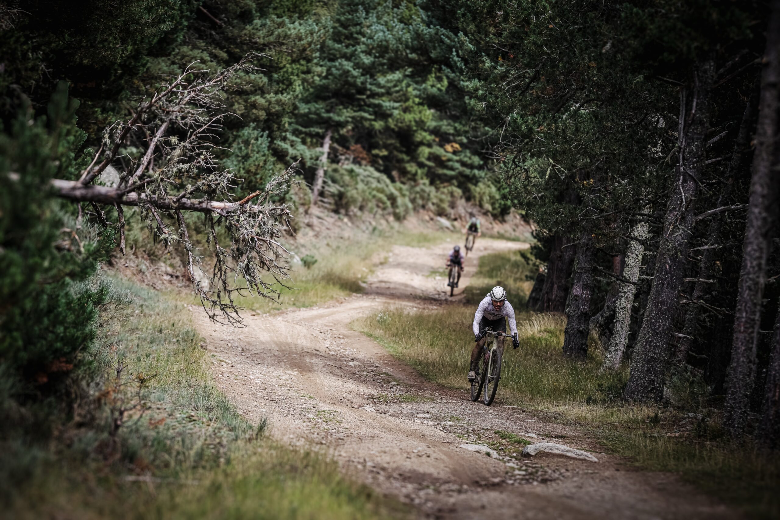 ©cyrille quintard-gravel66-2025-153A2540