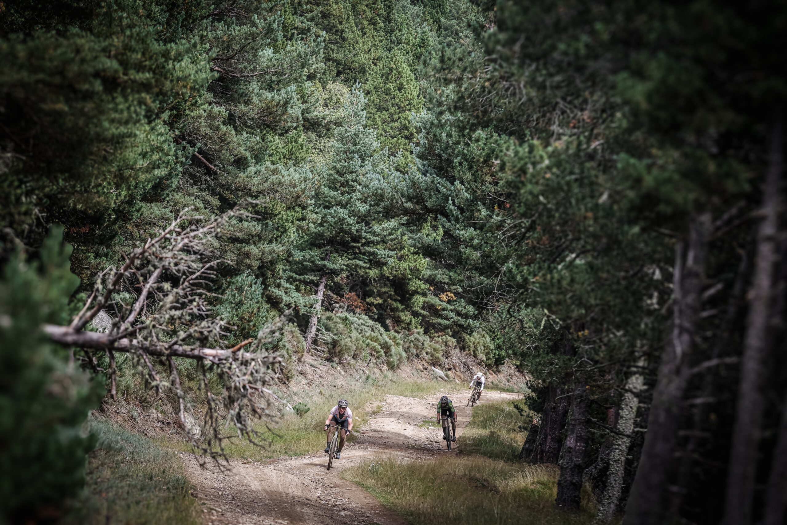 ©cyrille quintard-gravel66-2025-153A2546
