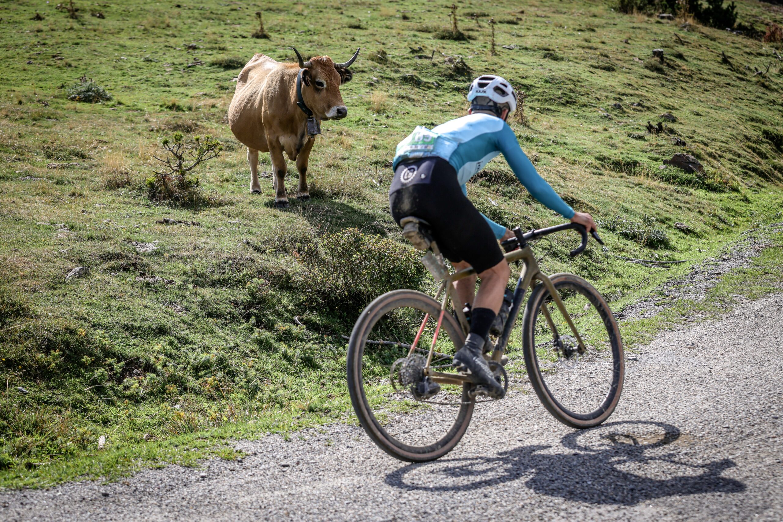 ©cyrille quintard-gravel66-2025-153A2840