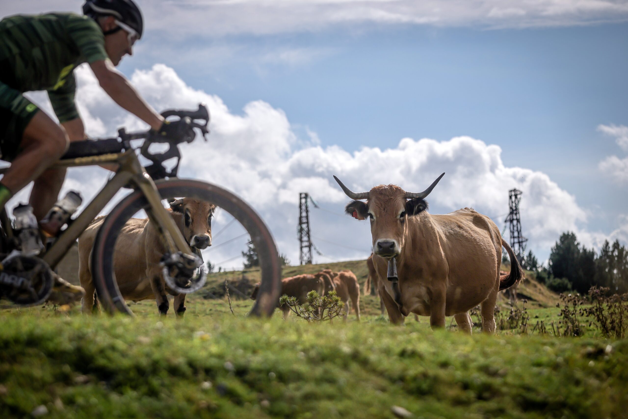©cyrille quintard-gravel66-2025-153A2857