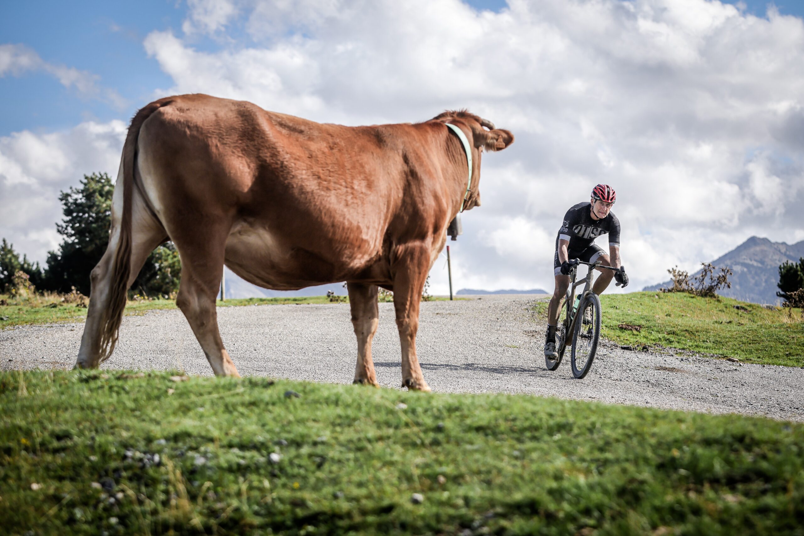 ©cyrille quintard-gravel66-2025-153A3032