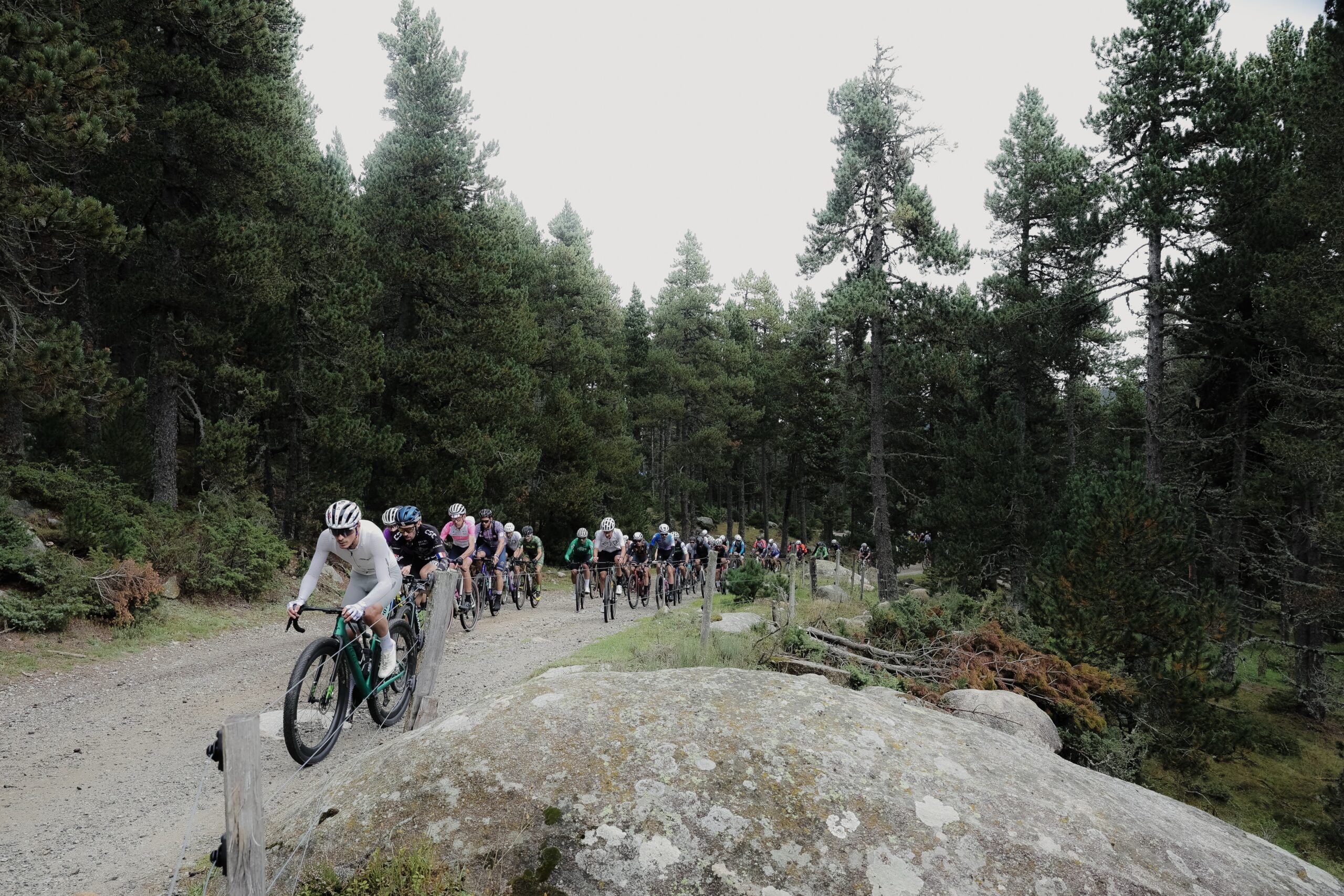 ©cyrille quintard-gravel66-2025-R6K29304