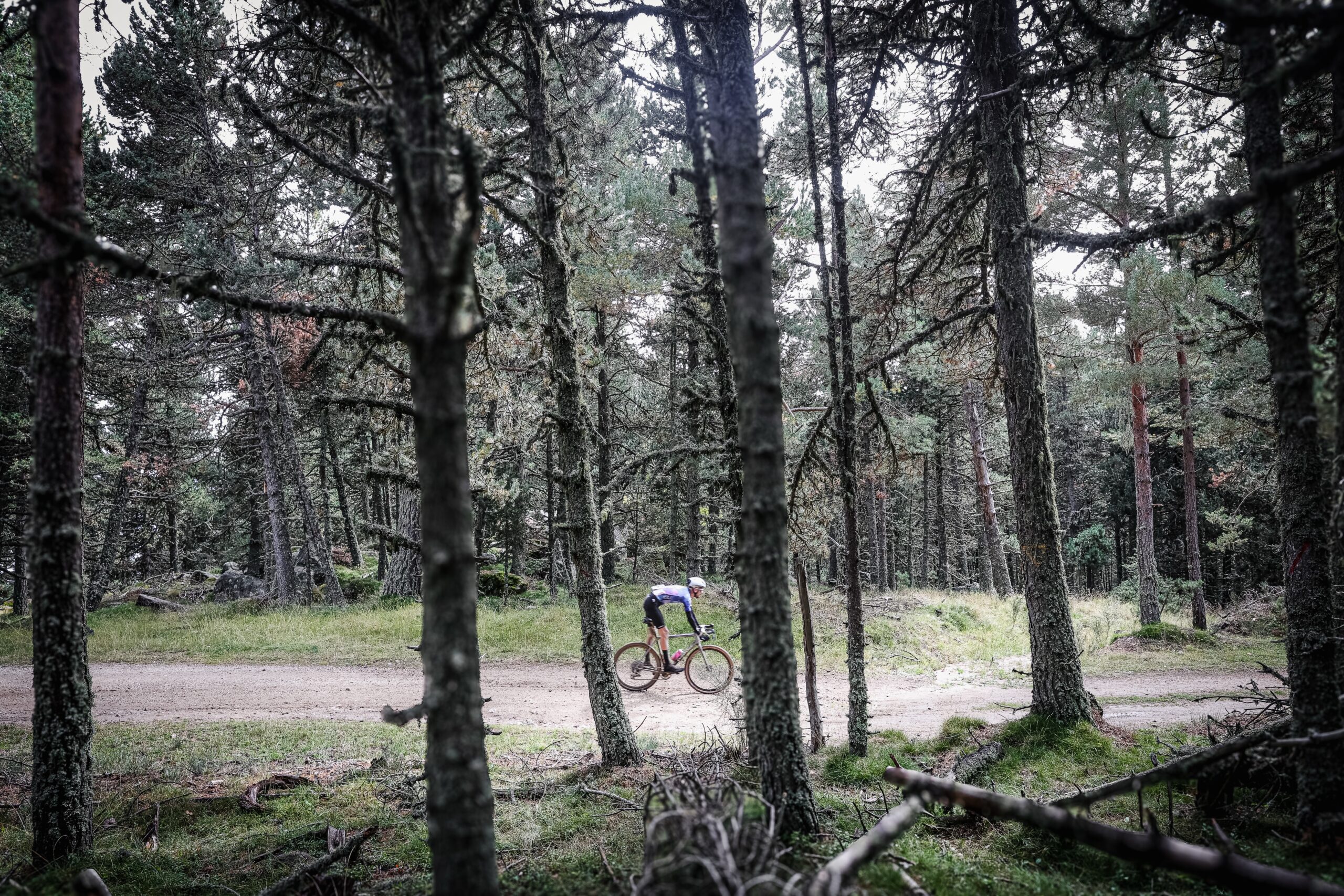 ©cyrille quintard-gravel66-2025-R6K29477