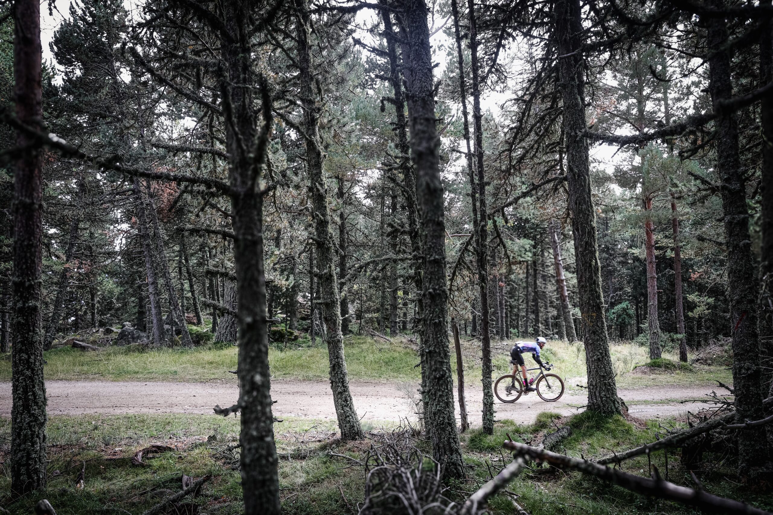 ©cyrille quintard-gravel66-2025-R6K29481
