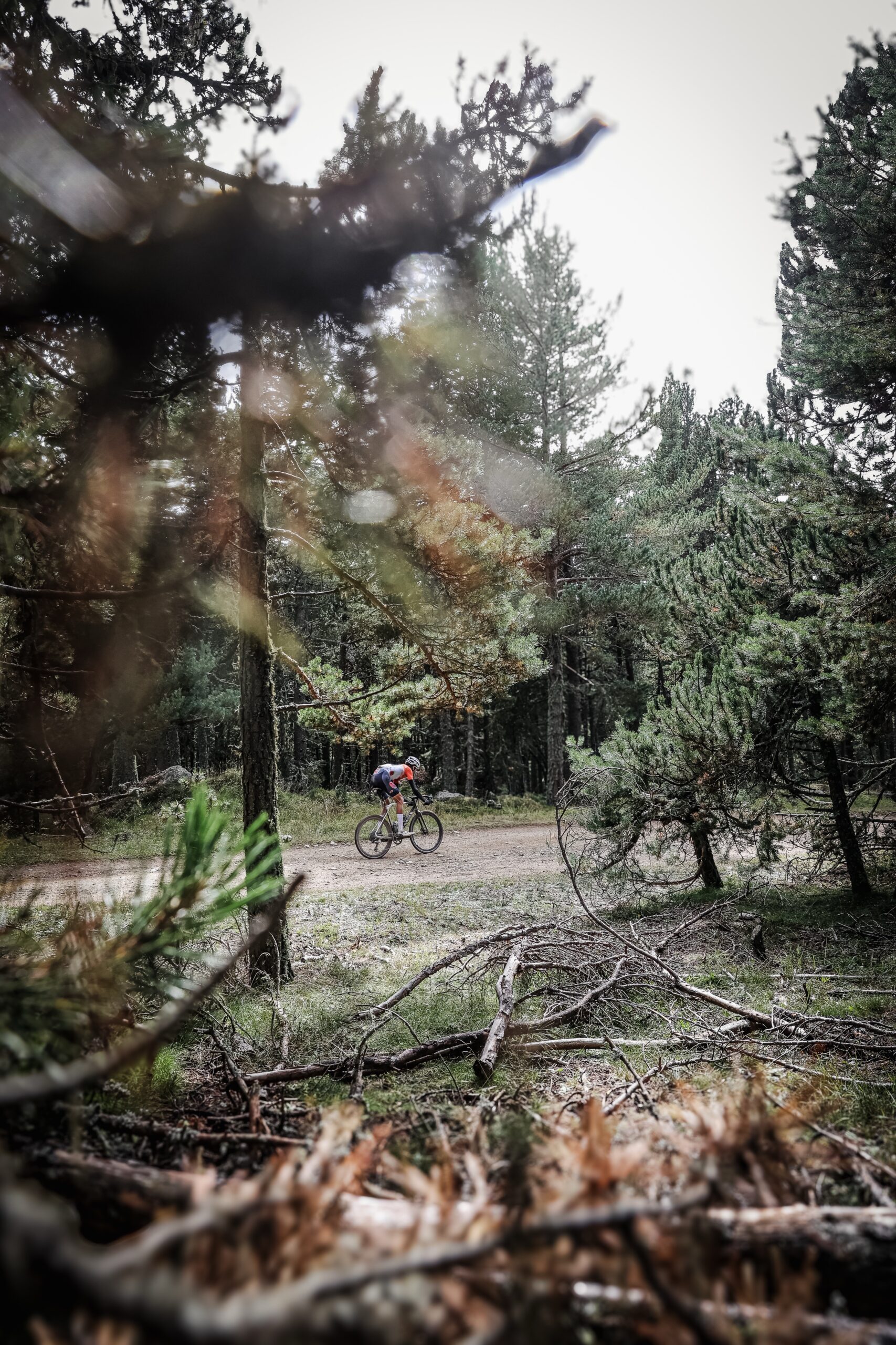 ©cyrille quintard-gravel66-2025-R6K29506