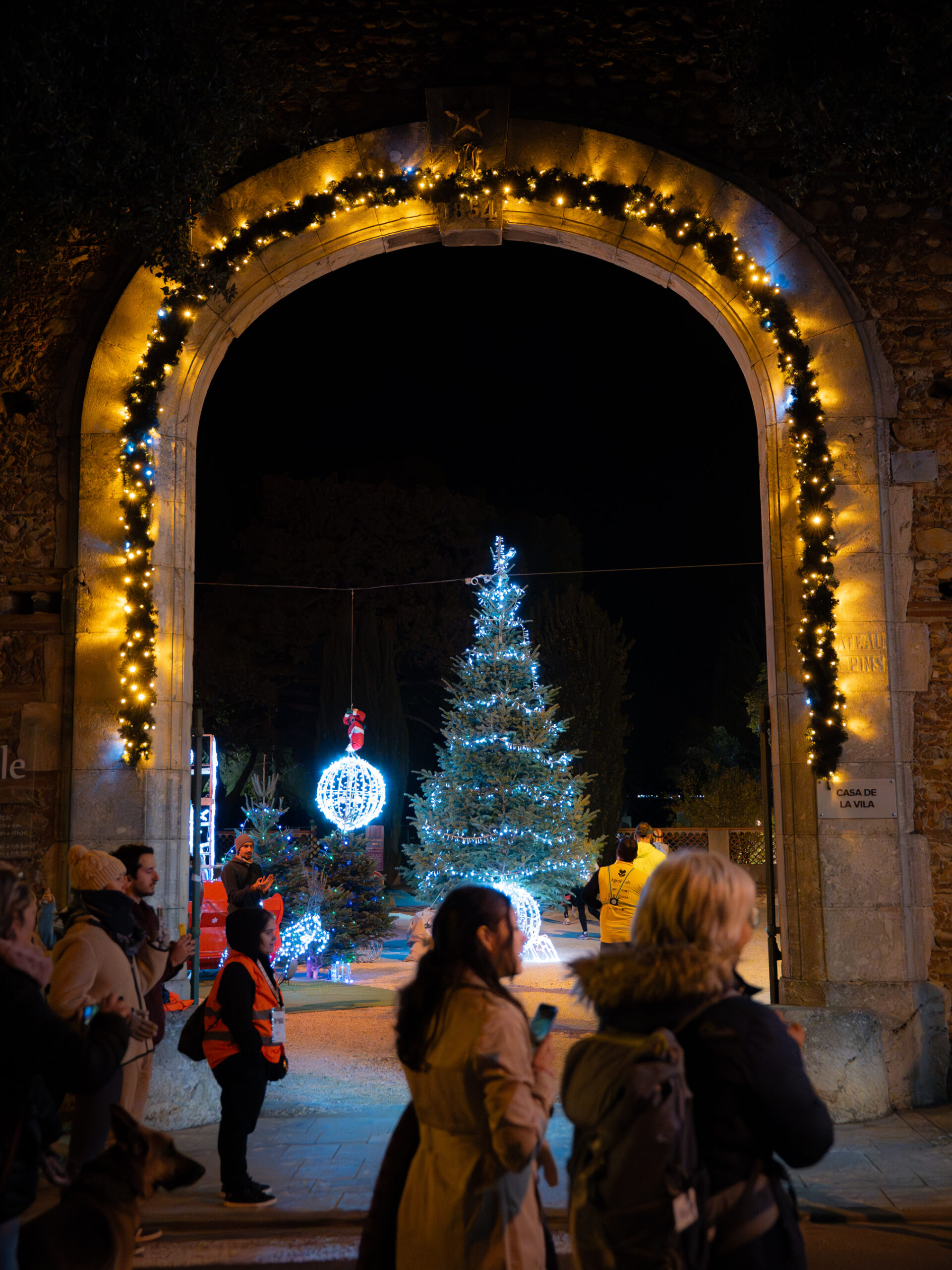 DSC07071-Enhanced-NR